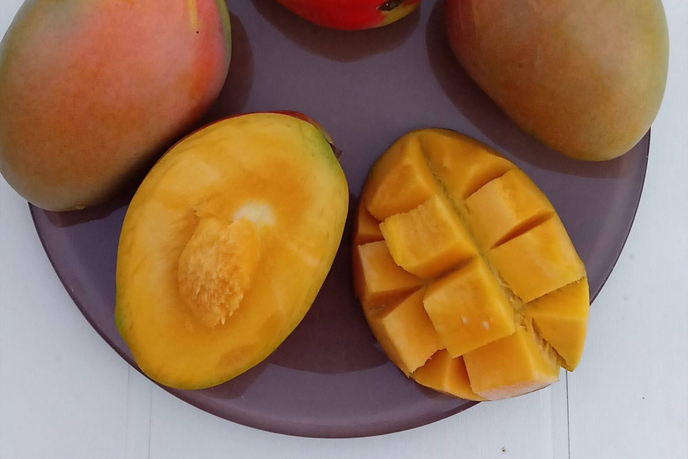 mangavop-mango-gallery-06