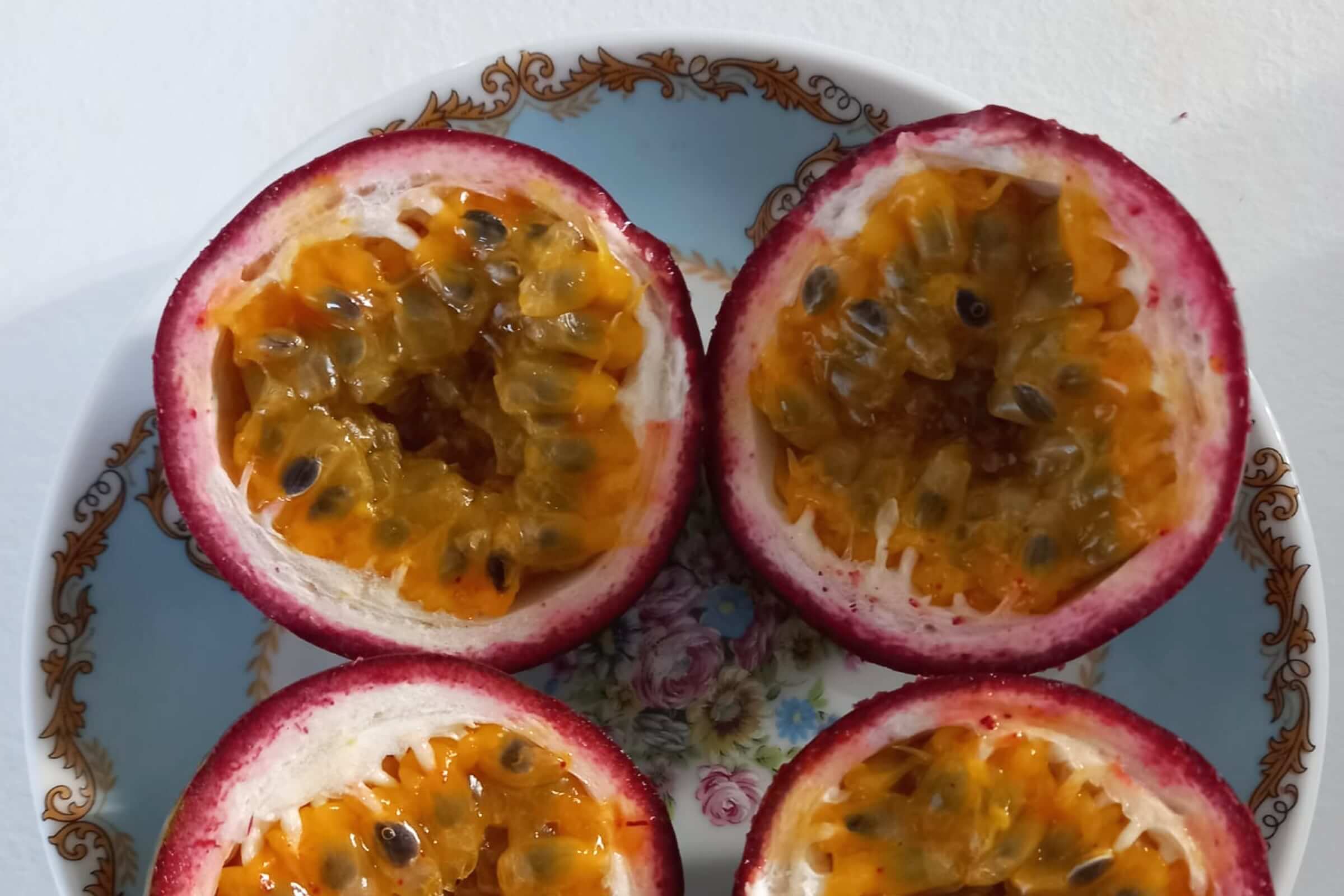 mangavop-passion_fruit-gallery-10
