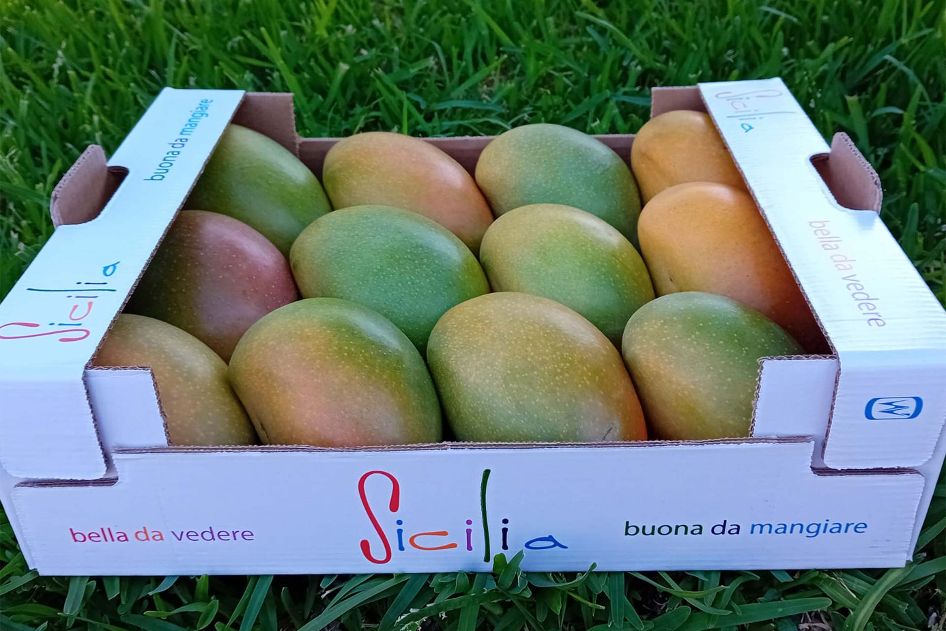 mangavop_mango_gallery_62